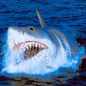 Photo Les Dents de la mer 4 : La Revanche