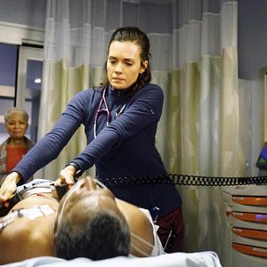 Photo Torrey DeVitto