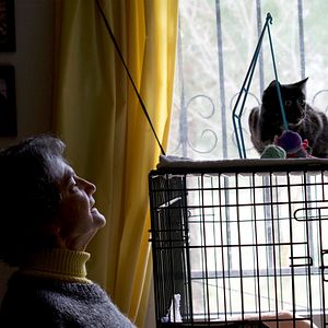 Photo Citizen Animal - A Small Family's Quest for Animal Rights
