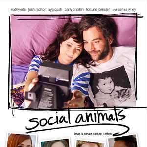 Photo Social Animals