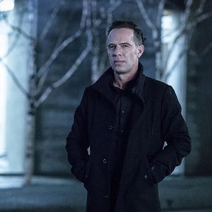 Photo Neil Sandilands