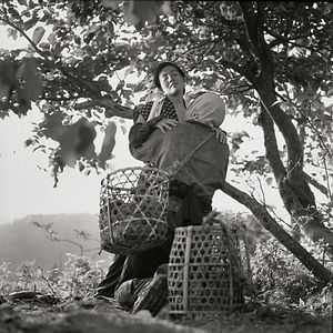 Photo La Femme insecte