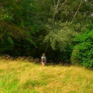 Photo Contes de juillet
