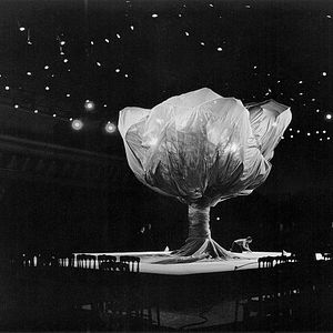 Photo McQueen