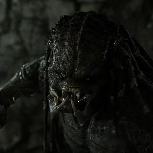 Photo The Predator