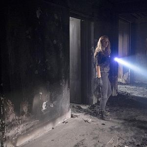 Photo Tracy Spiridakos