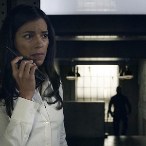 Photo Stephanie Sigman