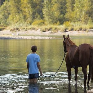 Photo La Route sauvage (Lean on Pete)