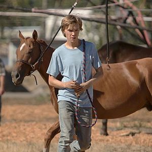 Photo La Route sauvage (Lean on Pete)
