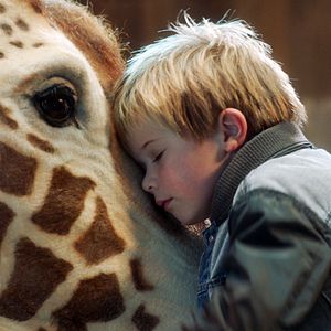 Photo Raf, ma Girafe