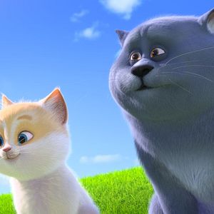 Photo Oscar et le monde des chats