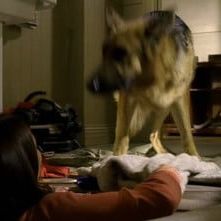 Photo Desperate Housewives