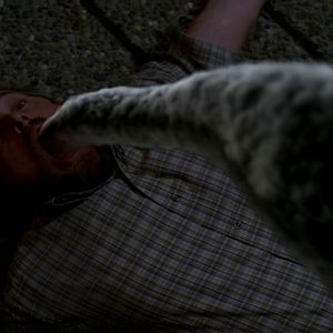 Photo Supernatural