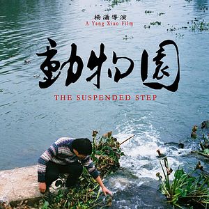 Photo The Suspended Step