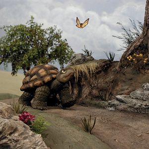 Photo Les Contes merveilleux par Ray Harryhausen