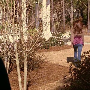 Photo Les Frères Scott