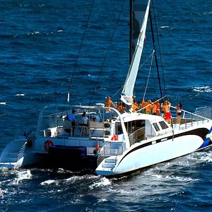 Photo Hawaii Five-0 (2010)