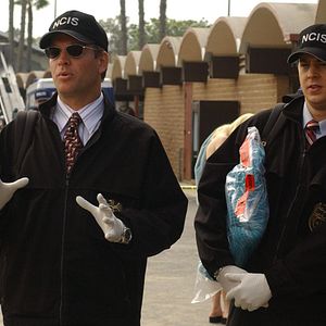 Photo NCIS : Enquêtes spéciales