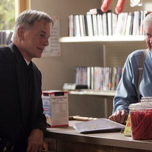 Photo NCIS : Enquêtes spéciales