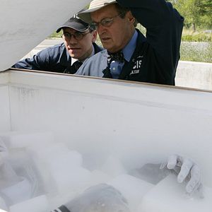 Photo NCIS : Enquêtes spéciales