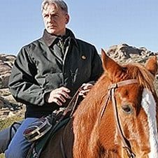 Photo NCIS : Enquêtes spéciales
