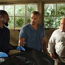 Photo Esprits criminels