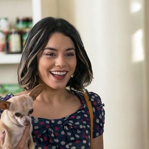 Photo Dog Days