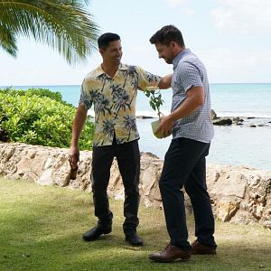 Photo Zachary Knighton