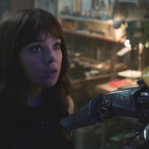 Photo Bumblebee