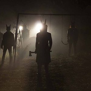 Photo Jackals