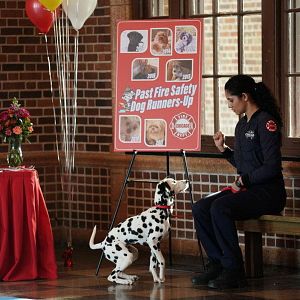 Photo Miranda Rae Mayo