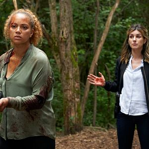 Photo Shenae Grimes-Beech