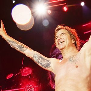 Photo Die Toten Hosen : Phénomènes punk rock