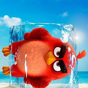Photo Angry Birds : Copains comme cochons