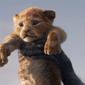 Photo Le Roi Lion