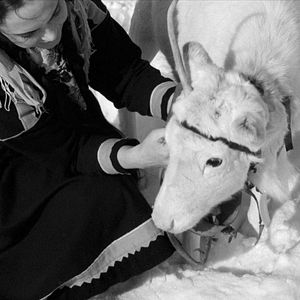 Photo Le Renne blanc