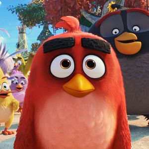 Photo Angry Birds : Copains comme cochons