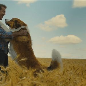 Photo Dennis Quaid