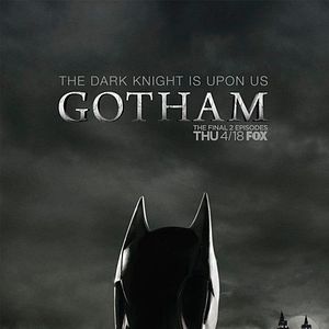 Photo Gotham (2014)
