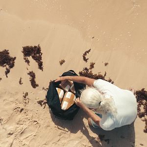Photo La légende de Cocaine Island