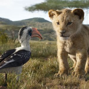 Photo Le Roi Lion