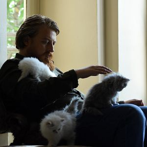 Photo Alireza Motamedi