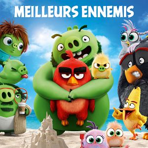 Photo Angry Birds : Copains comme cochons