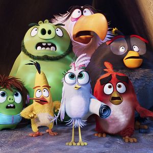 Photo Angry Birds : Copains comme cochons