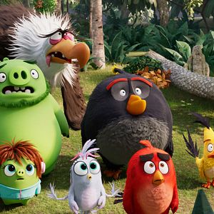 Photo Angry Birds : Copains comme cochons