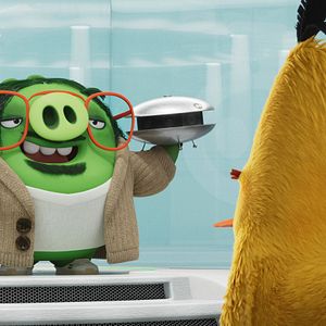 Photo Angry Birds : Copains comme cochons
