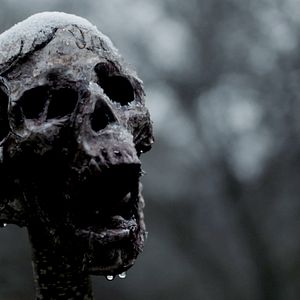 Photo The Head Hunter