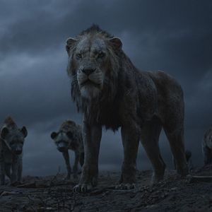 Photo Le Roi Lion