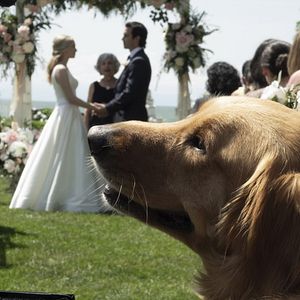 Photo Milo Ventimiglia