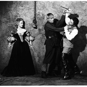 Photo Le Château de la terreur
